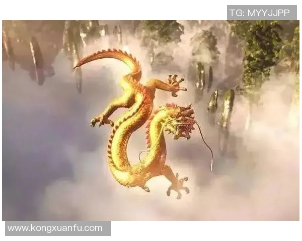 弗格的传奇人生与不屈精神探秘之旅